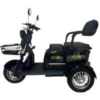 Электротрицикл GreenCamel Фродо X7 PRO V2 (60V20Ah 800W R10) дифференциал